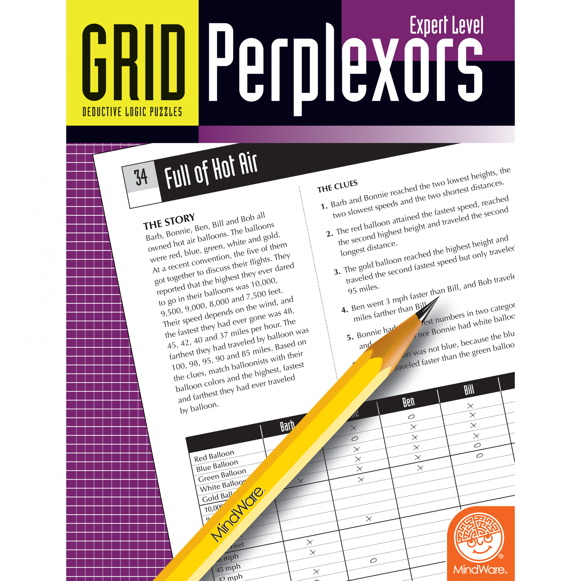 The STEAM Room Grid Perplexors Expert Level